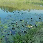 Horská chata Cuckoo Forest
