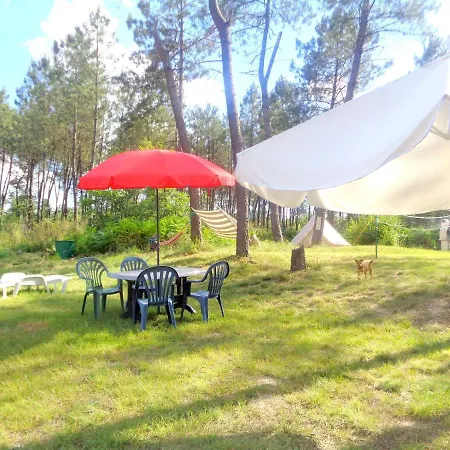 Cuckoo Forest Saint-Vincent-Jalmoutiers