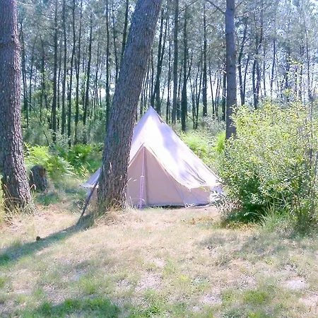 Cuckoo Forest Chalé *
