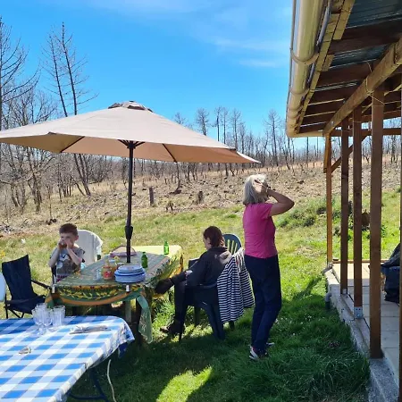 Cuckoo Forest Chalet