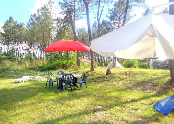 Cuckoo Forest Saint-Vincent-Jalmoutiers