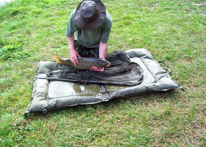 Domek alpejski Cuckoo Forest Saint-Vincent-Jalmoutiers