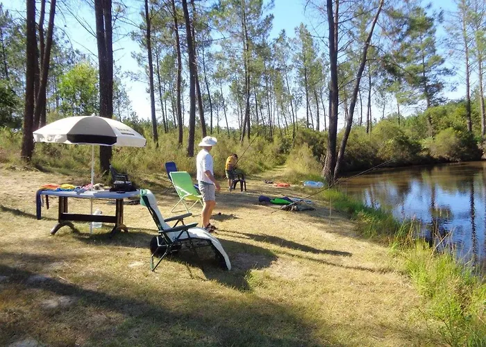 Cuckoo Forest Chalet