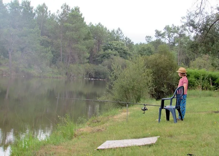 Cuckoo Forest 샬레 *