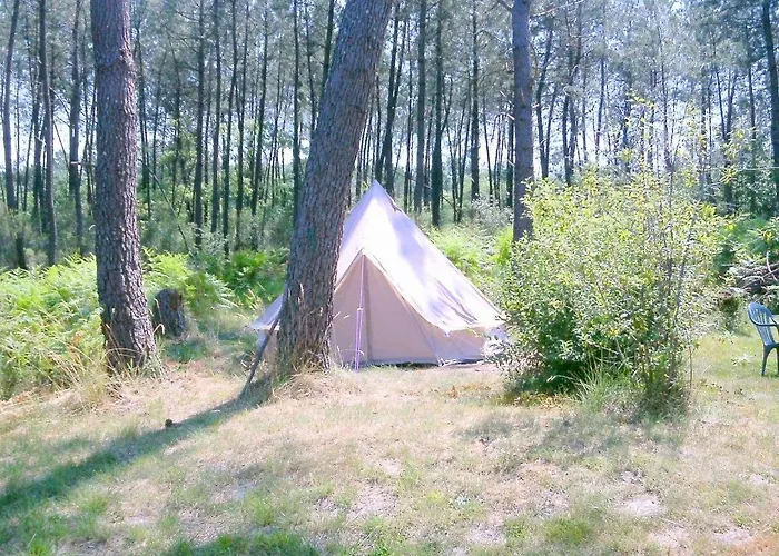 Cuckoo Forest 샬레 *