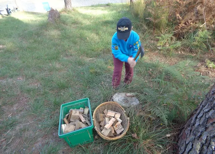 Cuckoo Forest Chalet