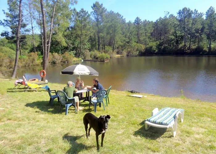 샬레 Cuckoo Forest *