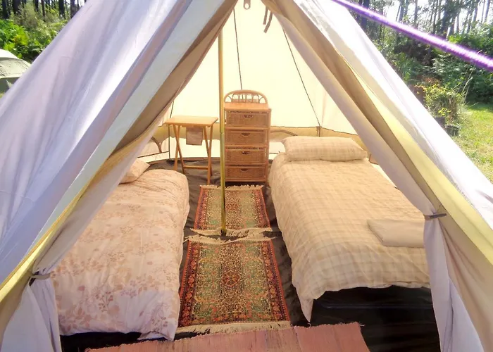 Cuckoo Forest Chalet Saint-Vincent-Jalmoutiers