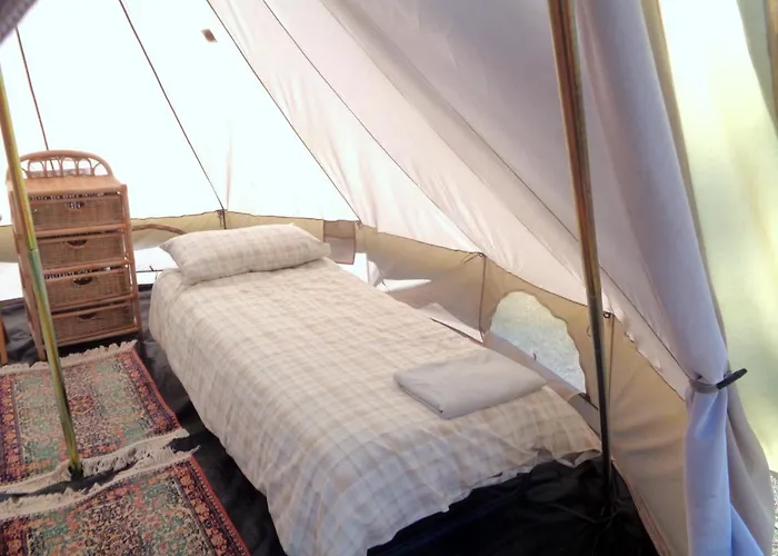 Cuckoo Forest Domek alpejski *