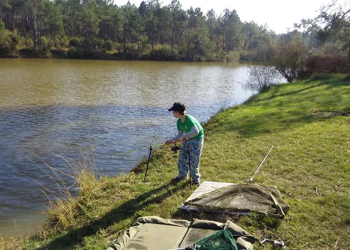Cuckoo Forest Chalet Saint-Vincent-Jalmoutiers
