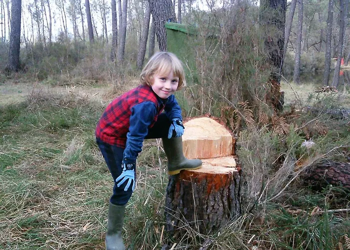 샬레 Cuckoo Forest