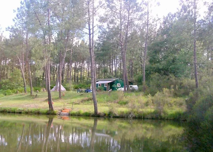 샬레 Cuckoo Forest *