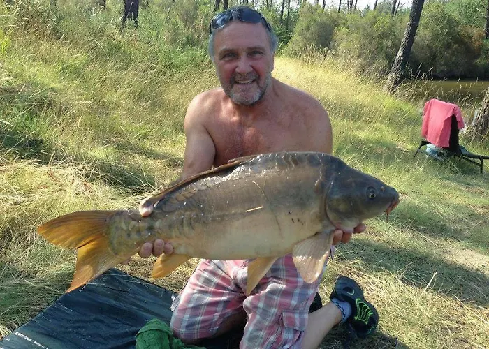 Cuckoo Forest Saint-Vincent-Jalmoutiers